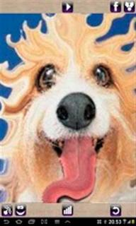 照片变形器