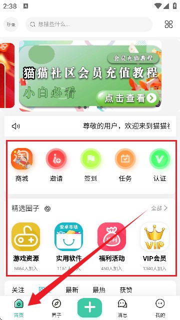 猫猫社区