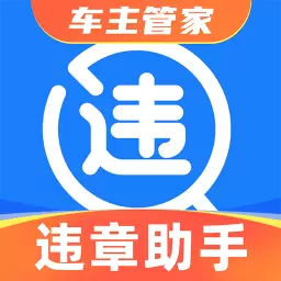 实时违章查询