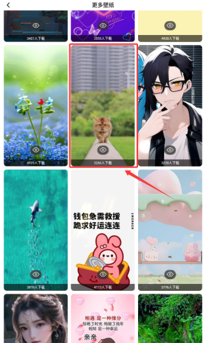 迷你小组件