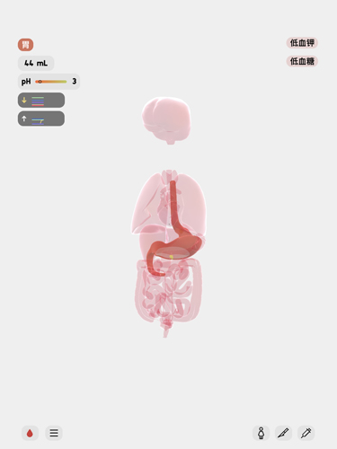 生命LIFE安卓版