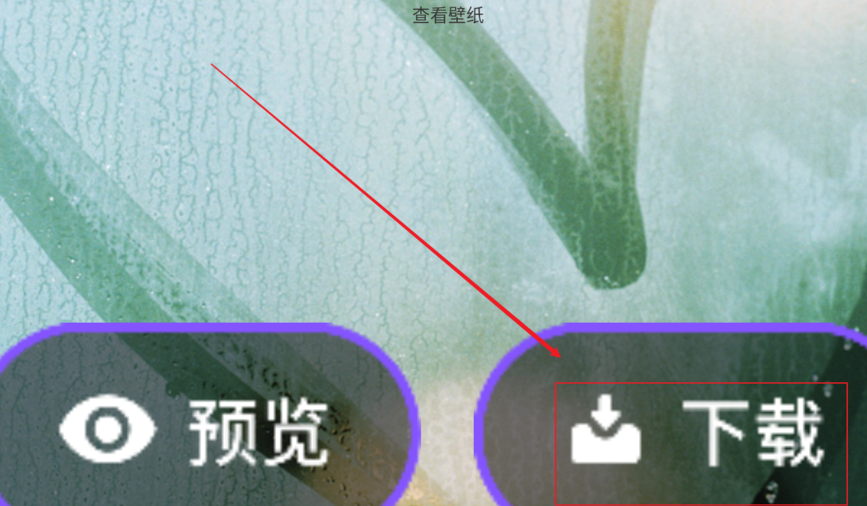 小羞漫画壁纸