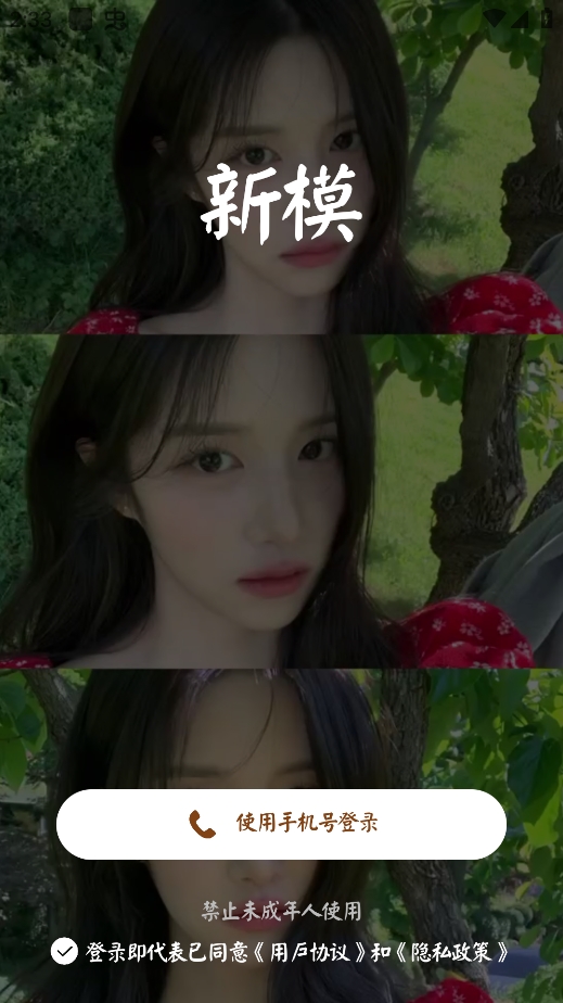 新模