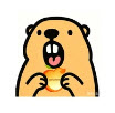 土拨鼠大屏浏览器