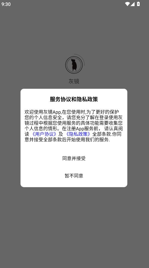灰镜