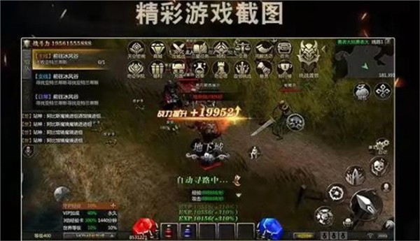 精灵奇迹