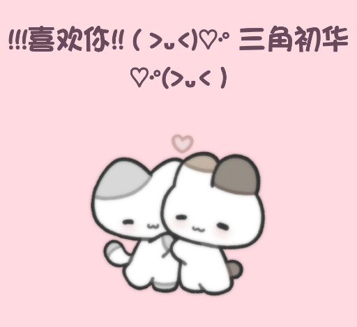 小猫表白