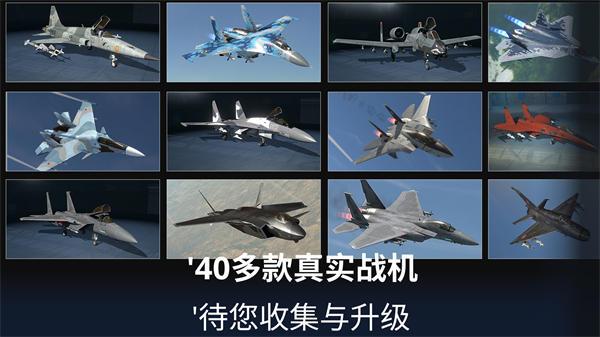 金属风暴国际服