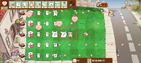 小白大战小鸡毛