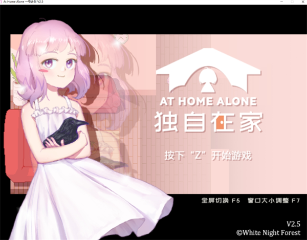 独自在家