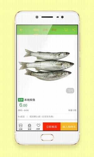 鲜蜂