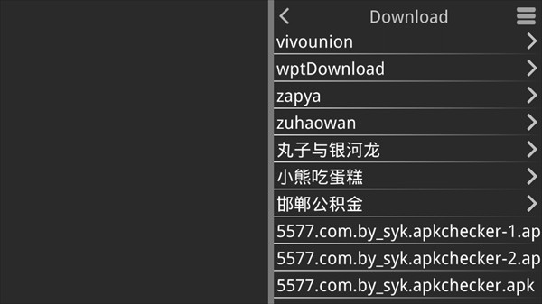 丸子与银河龙