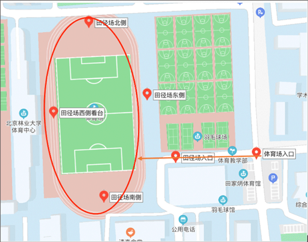 运动世界校园版软件
