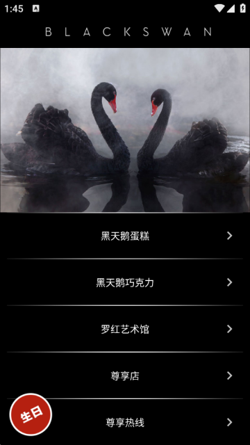 黑天鹅蛋糕