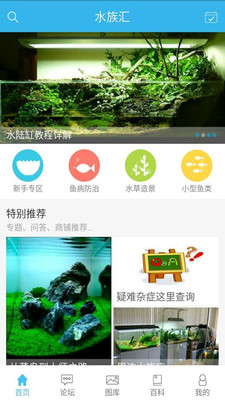 水族汇