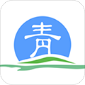 青松办