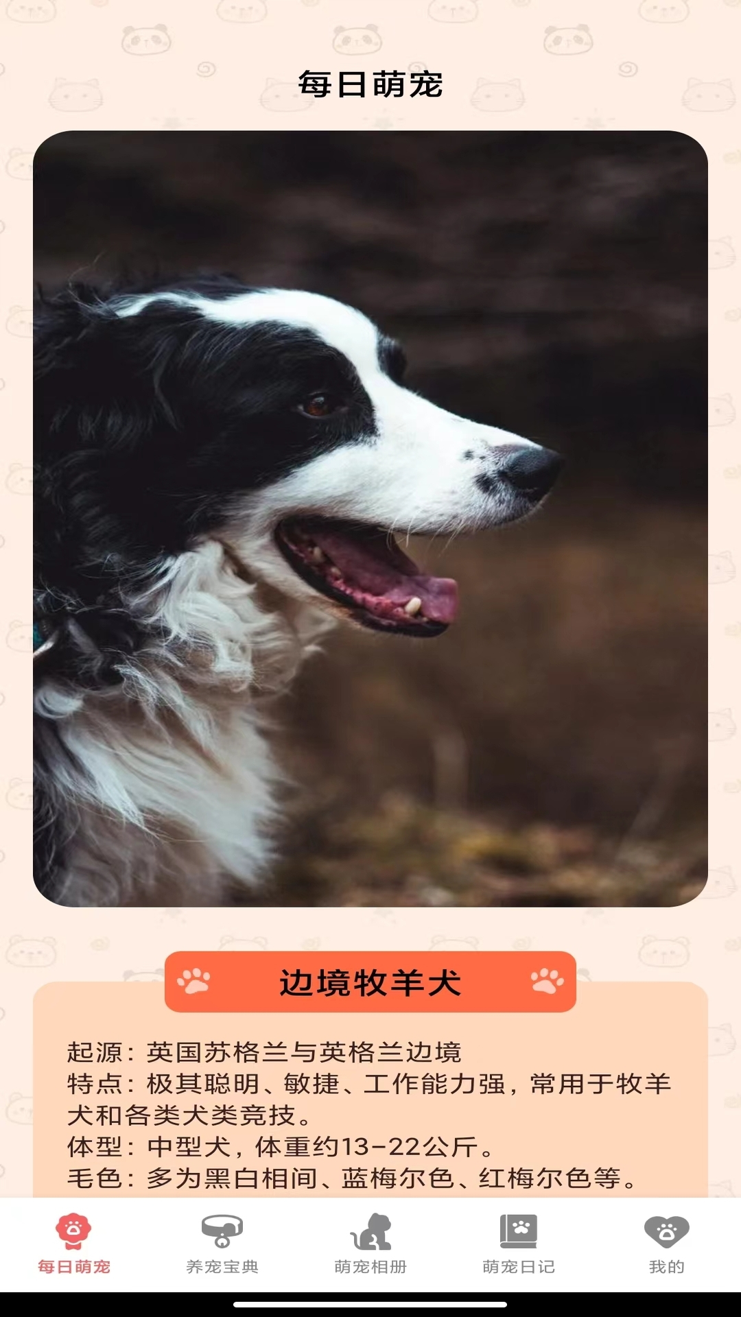 萌宠乐多多