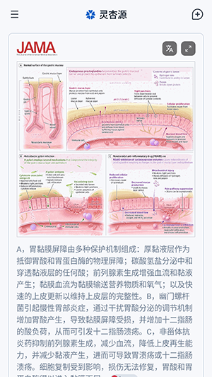 灵杏源