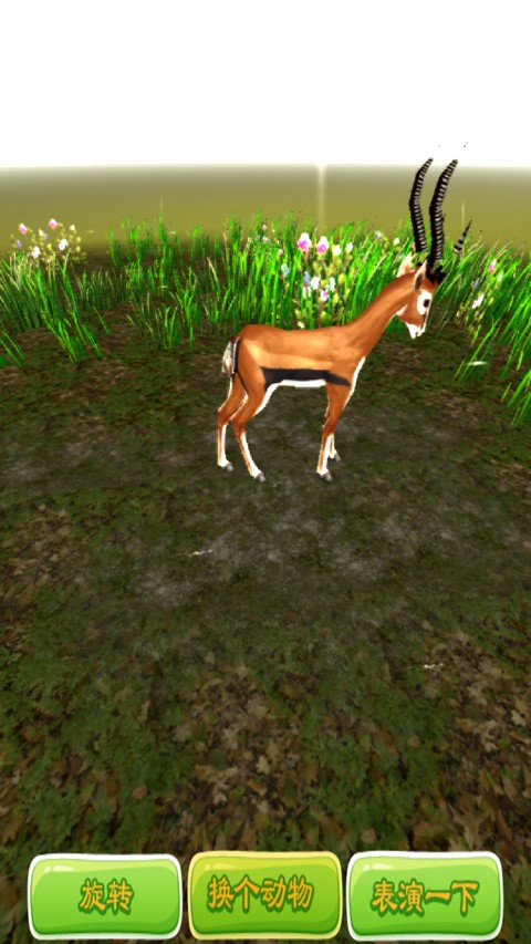 3d野生动物园