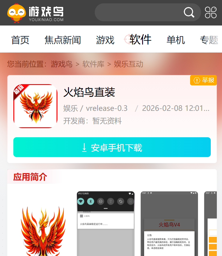 火焰鸟直装