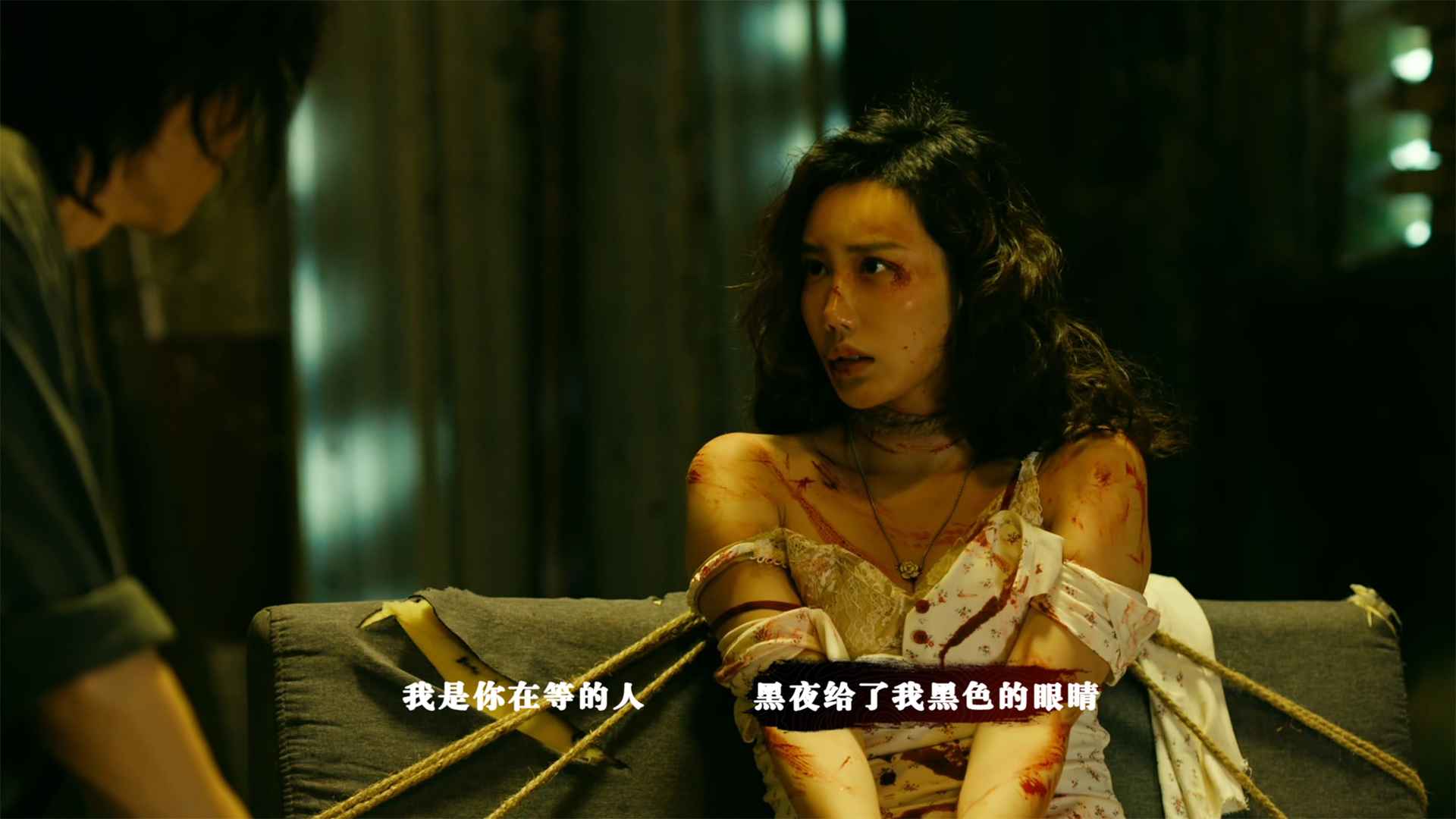 扫毒风暴