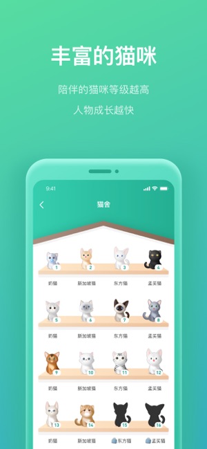 我的人生
