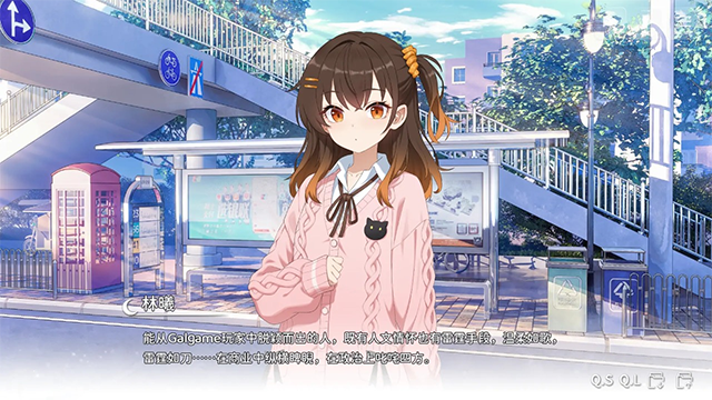 想成为galgame领域大神正式版