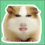 猪妞语音盒