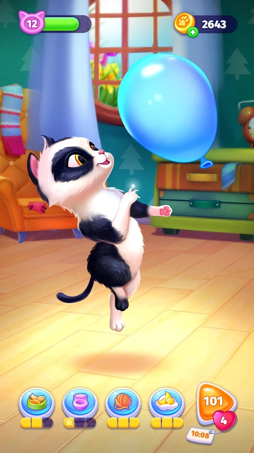 My Cat我的猫咪