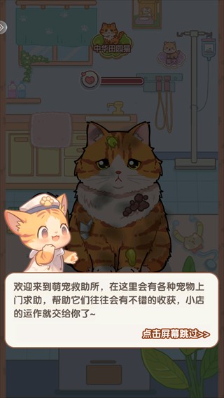 糖果猫