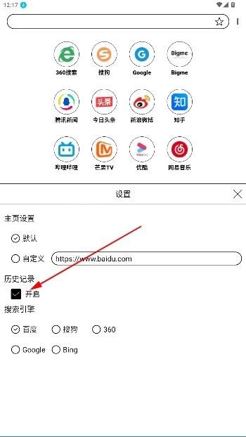 芒果浏览器海外版