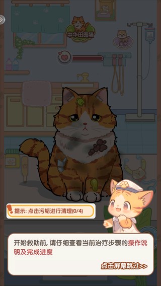 糖果猫