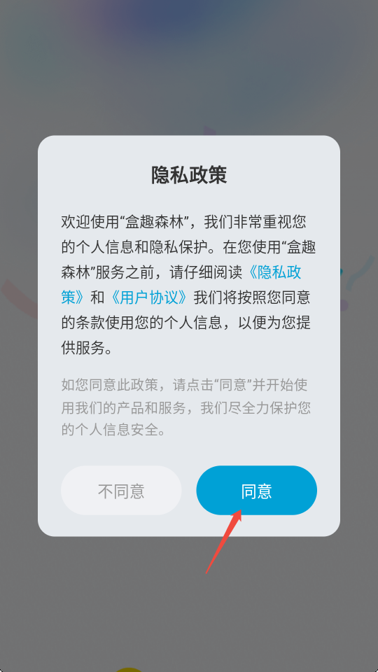 盒趣森林