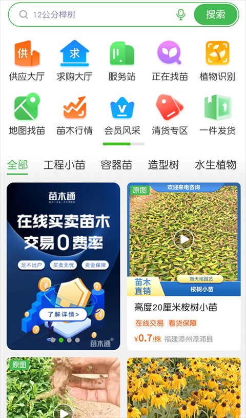 苗木通平台
