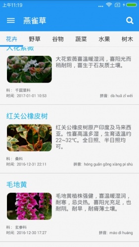 燕雀草