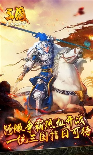 真三国无双激斗版