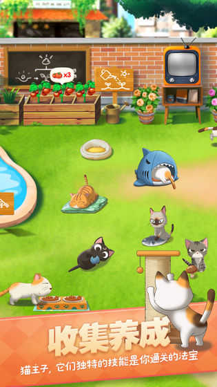猫语咖啡