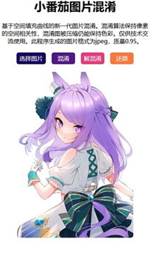 图片混淆