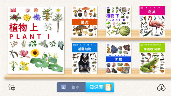 DK百科