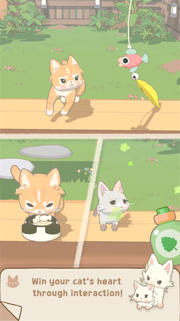 窗外的猫