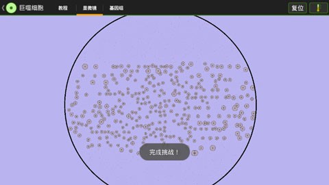 细胞实验室中文版