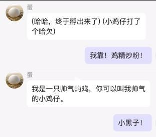 筑梦岛AI