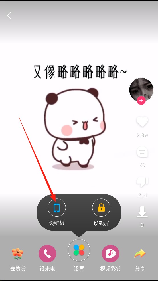 壁纸多多安卓版
