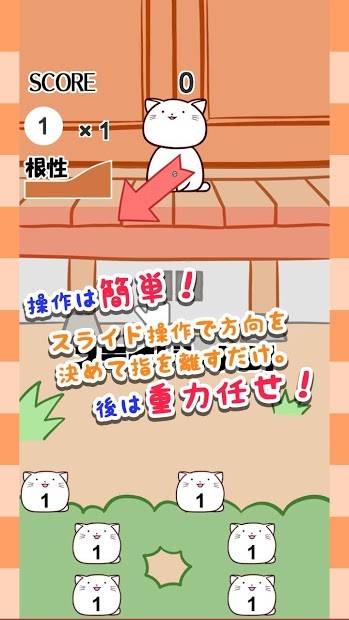 猫咪阵地