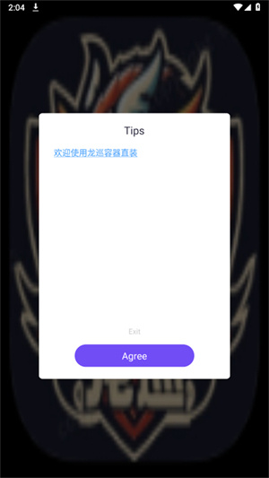 龙巡和平容器