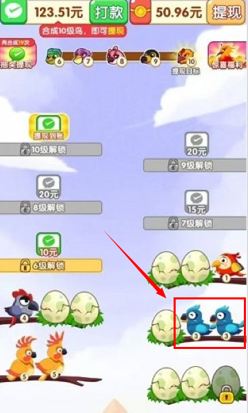 小鸟合不停
