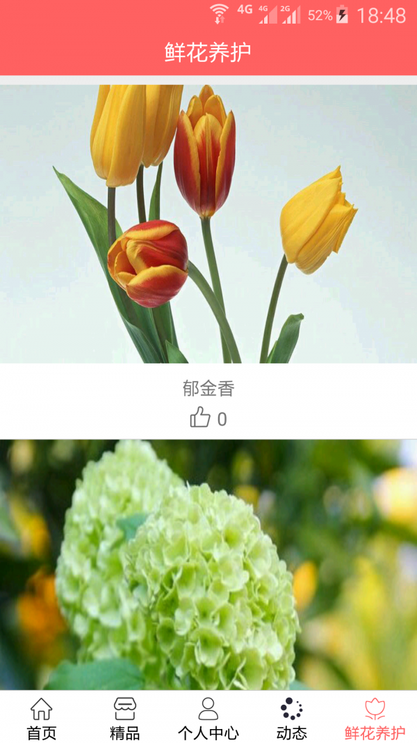 弗洛花园