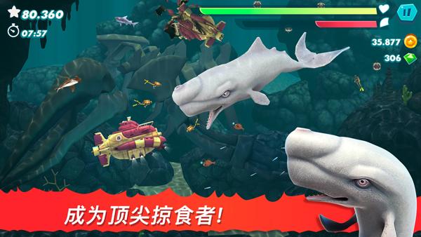 鲨鱼进化