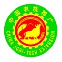 河北工程平台