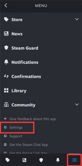 Steam Mobile